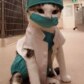 TabbyMuezza